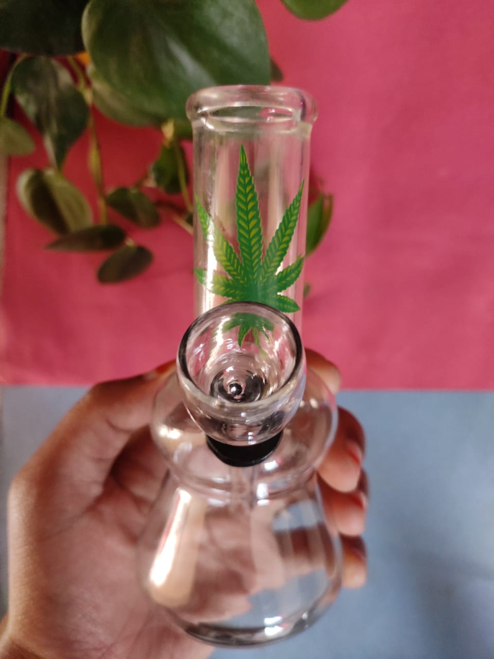 Buy Mini Bong, Glass Bong India